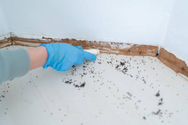 Best Real Estate Pest Inspections  in USA